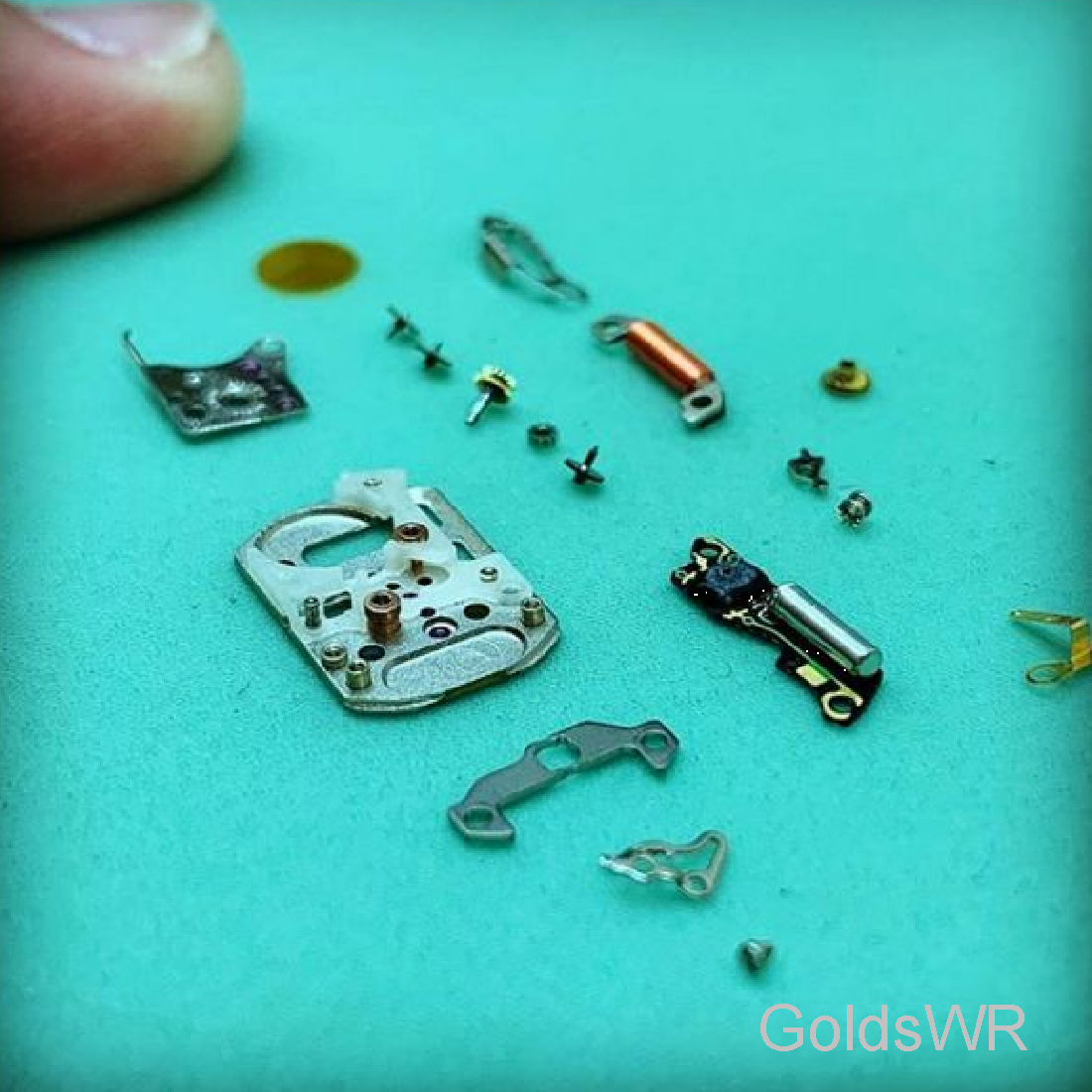 servicing quartz watch